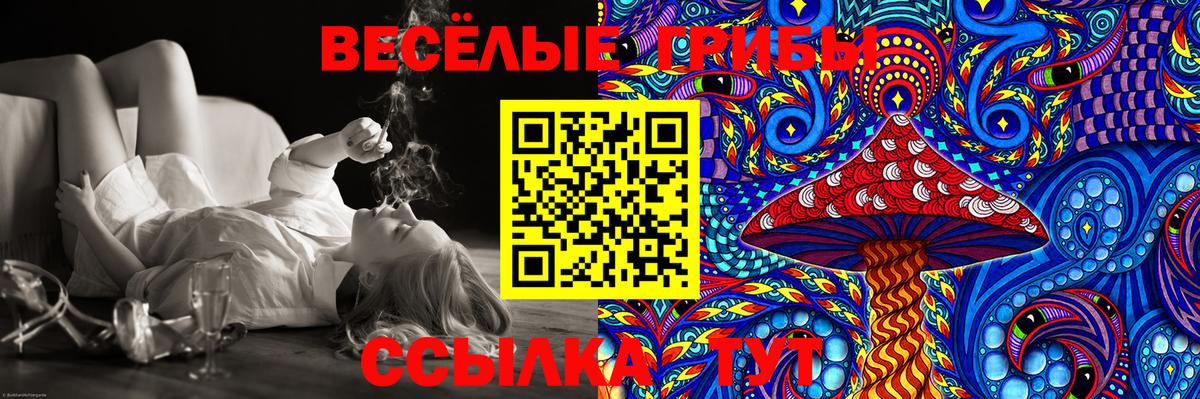 Ишим  Галлюциногенные грибы Psilocybine cubensis  как найти   Вход с VPN 