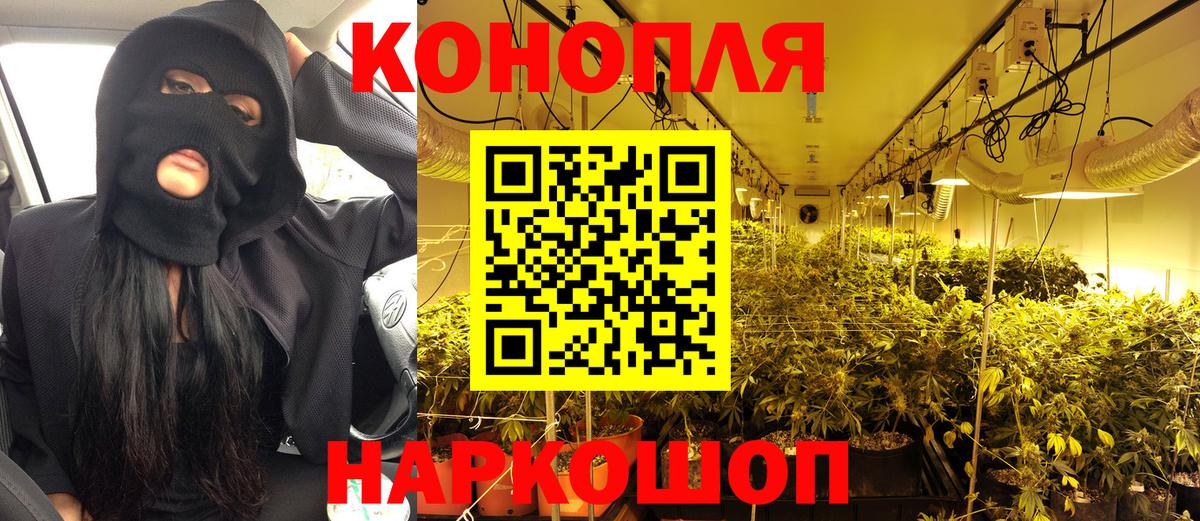 Шишки марихуана конопля Ишим